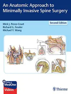 an anatomic approach to minimally invasive spine surgery