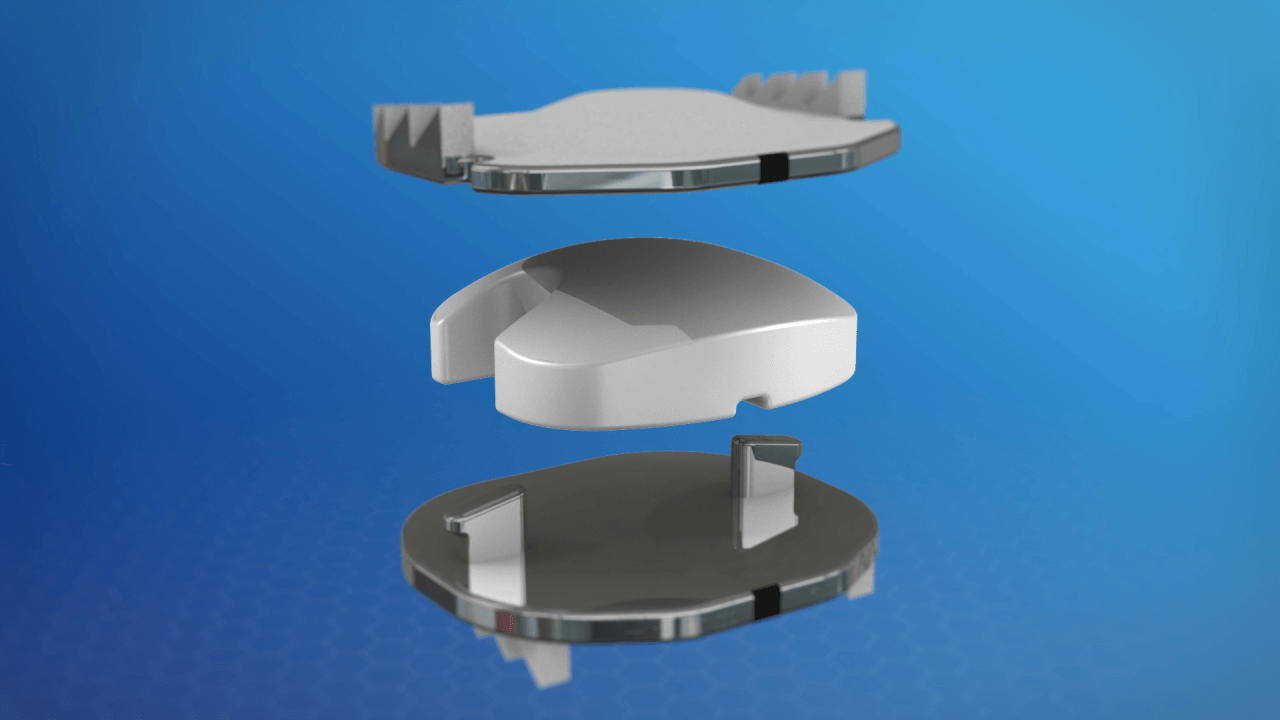 Model showing the various parts of an artificial disc
