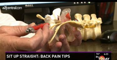 A Person Is Holding A Model Of A Spine With The Words Sit Up Straight On The Bottom