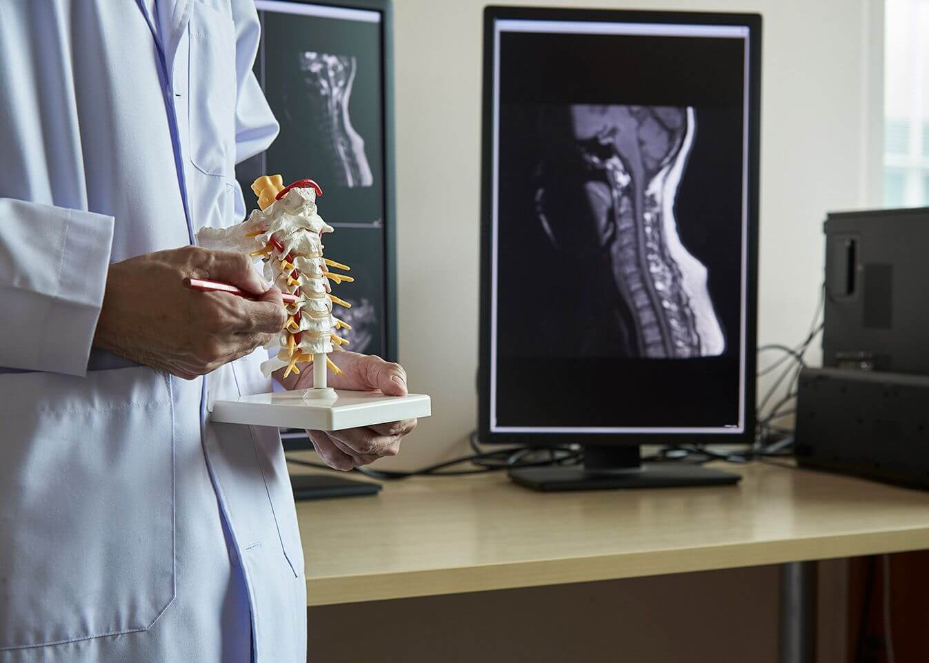 Doctor demonstrating on a model of the human neck