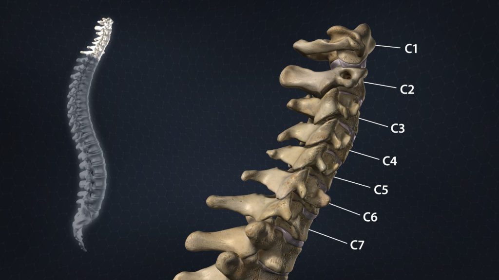 How to Overcome Chronic Neck Pain Without Surgery | DISC