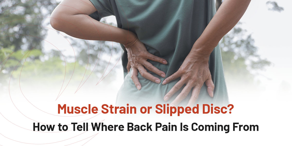 Muscle Strain or Slipped Disc? How to Tell Where Back Pain Is Coming From